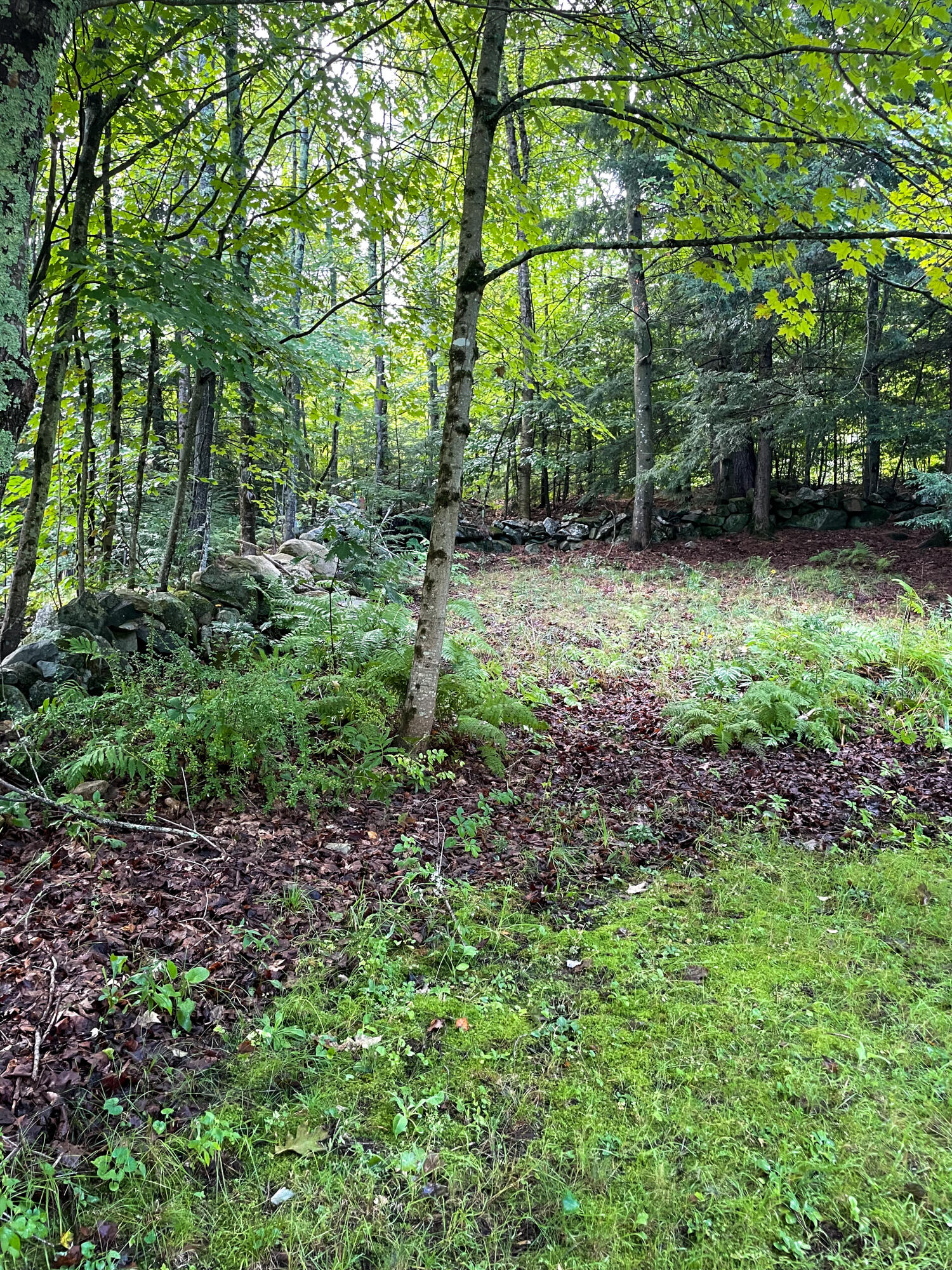 56 Elm Street Parsonsfield ME 04047