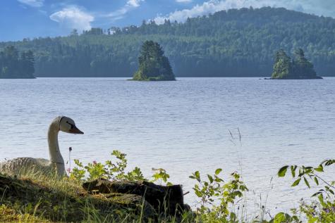 1 Zella Island T14 R8 Wels ME 04768