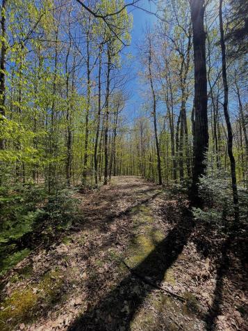 51 Deer Wander Ridge Road Anson ME 04911