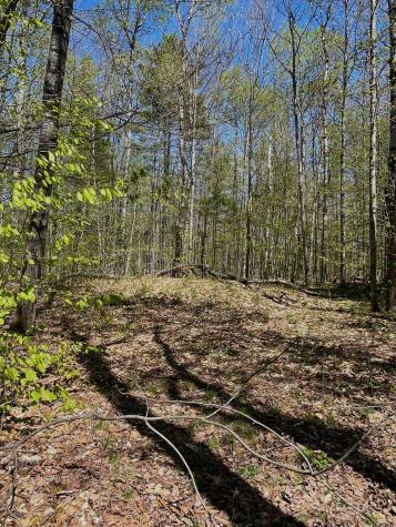 51 Deer Wander Ridge Road Anson ME 04911