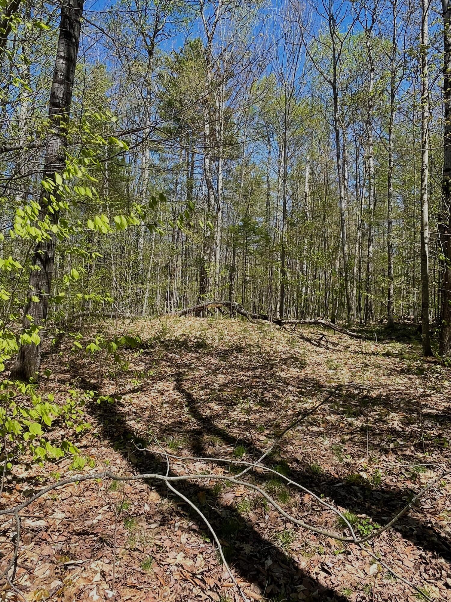 51 Deer Wander Ridge Road Anson ME 04911