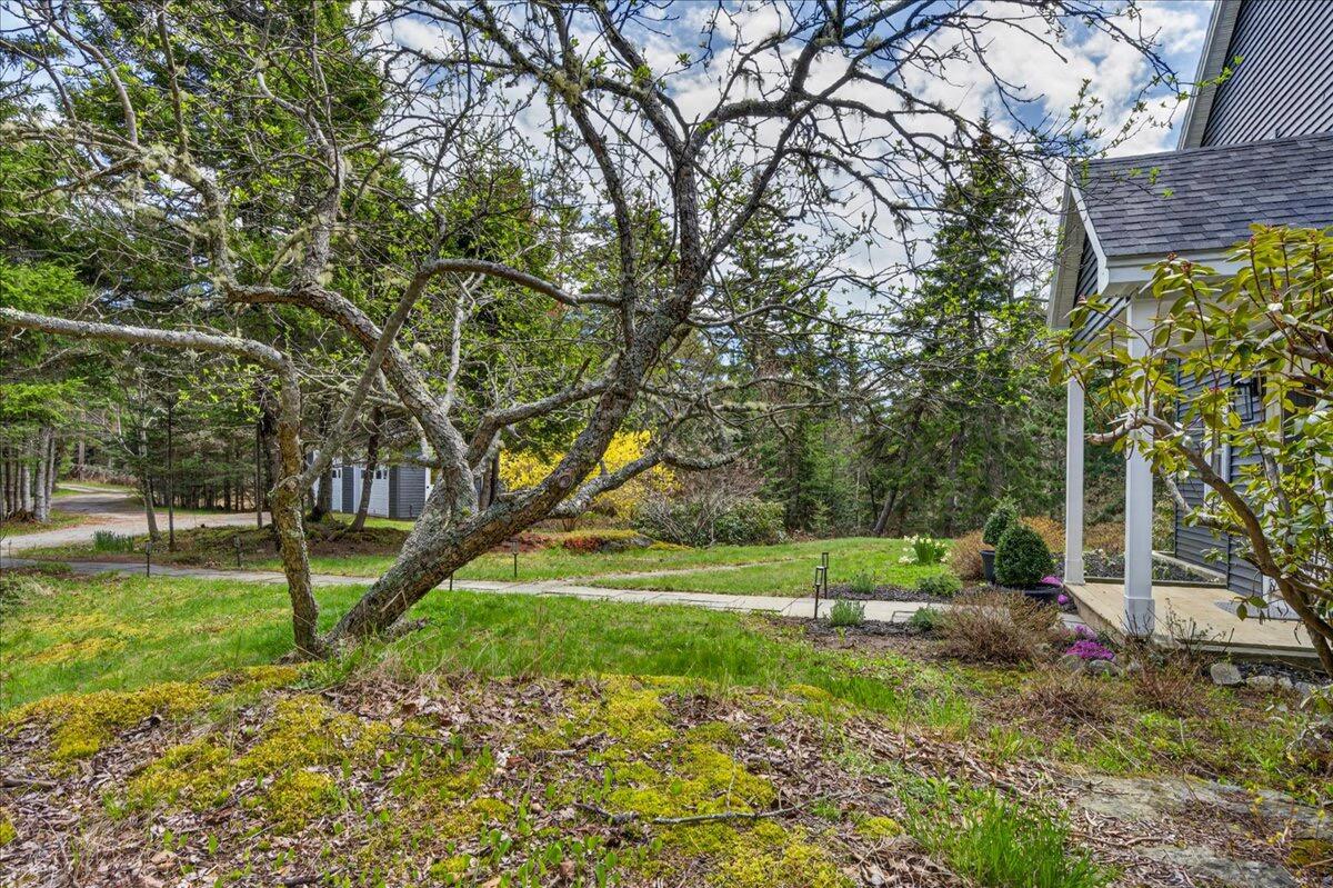 314 Ames Cove Road Brooksville ME 04642