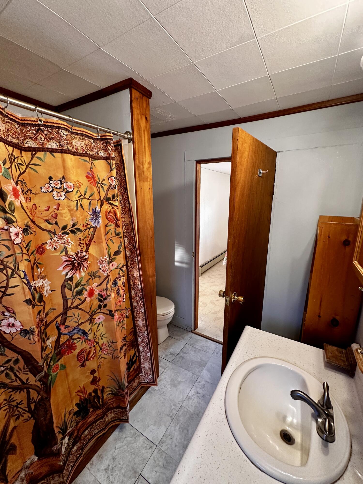 10 Lawrence Avenue Greenville ME 04441