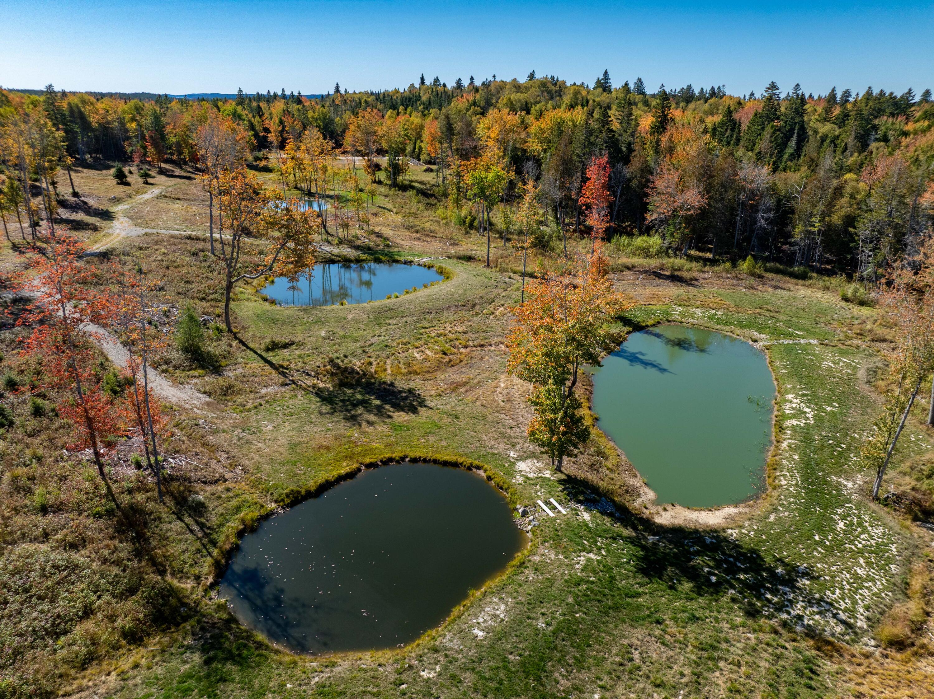 408 Duck Cove Road Roque Bluffs ME 04654