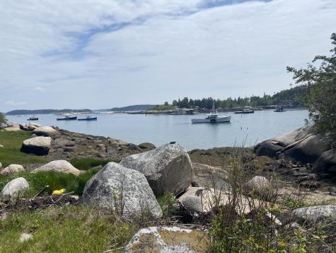 31 Green Head Lane Stonington ME 04681