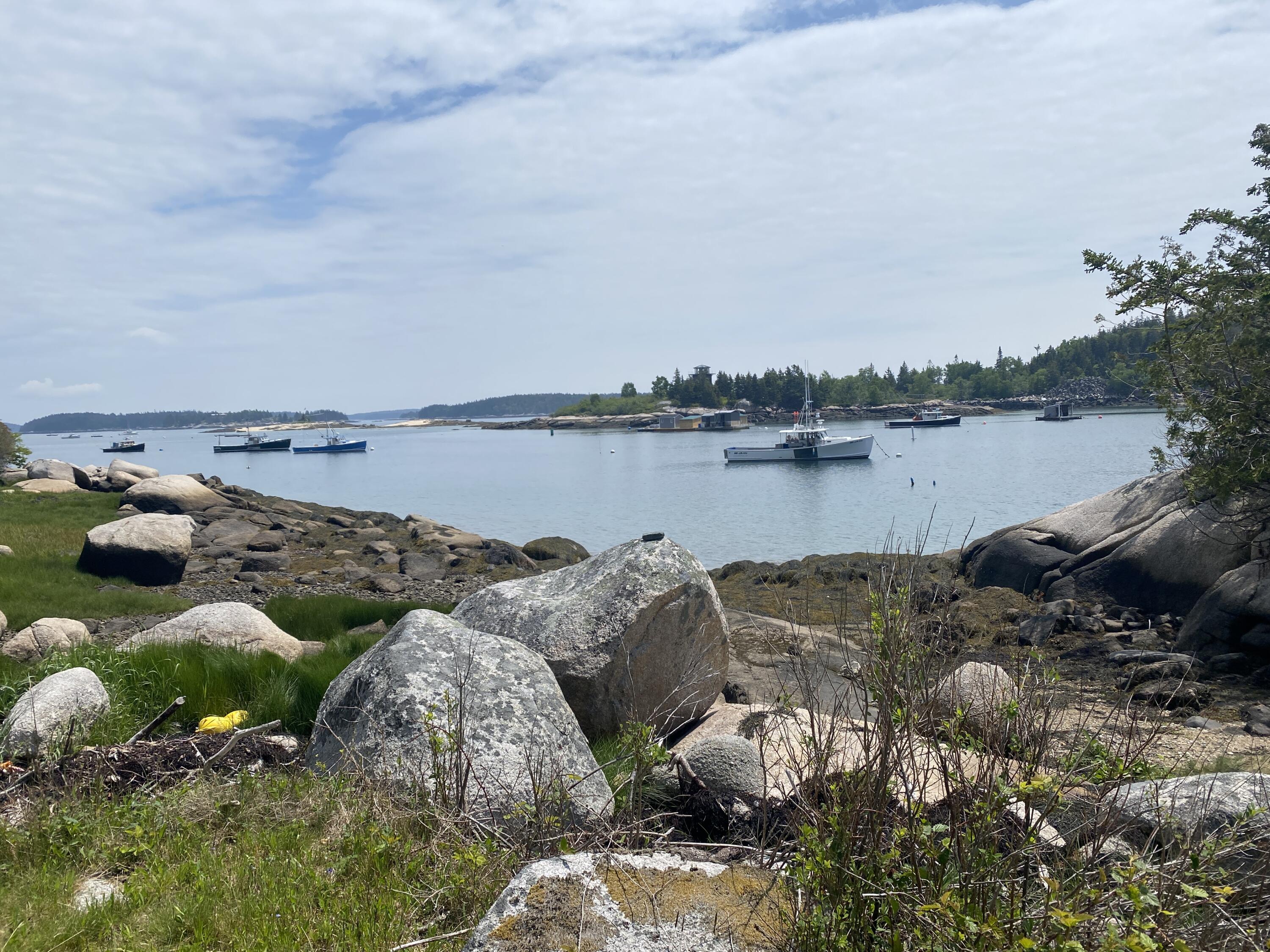 31 Green Head Lane Stonington ME 04681