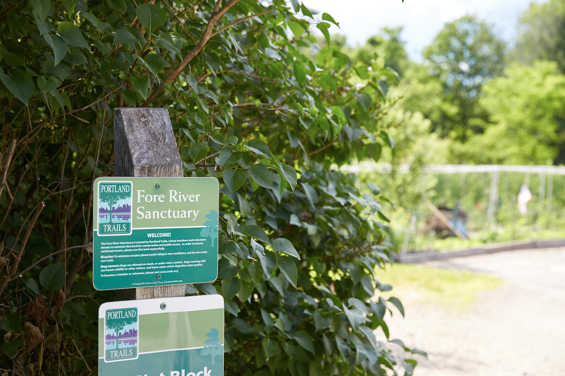 117 Colonial Road Portland ME 04102