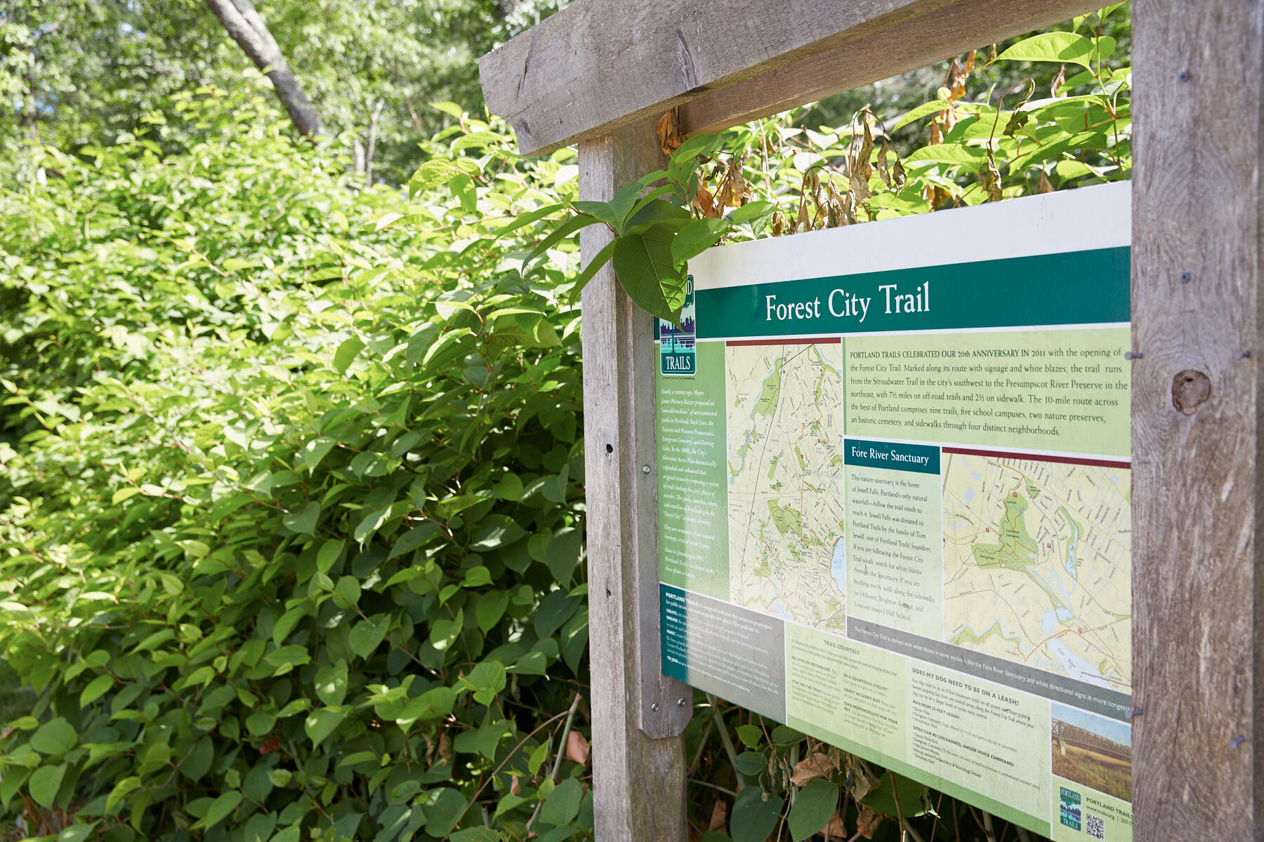 117 Colonial Road Portland ME 04102