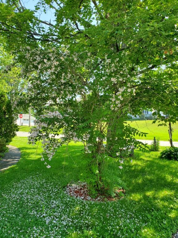 45 John Street Madison ME 04950