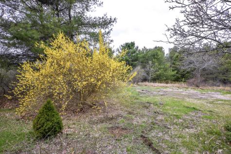 31 Vernon Road Cape Elizabeth ME 04107