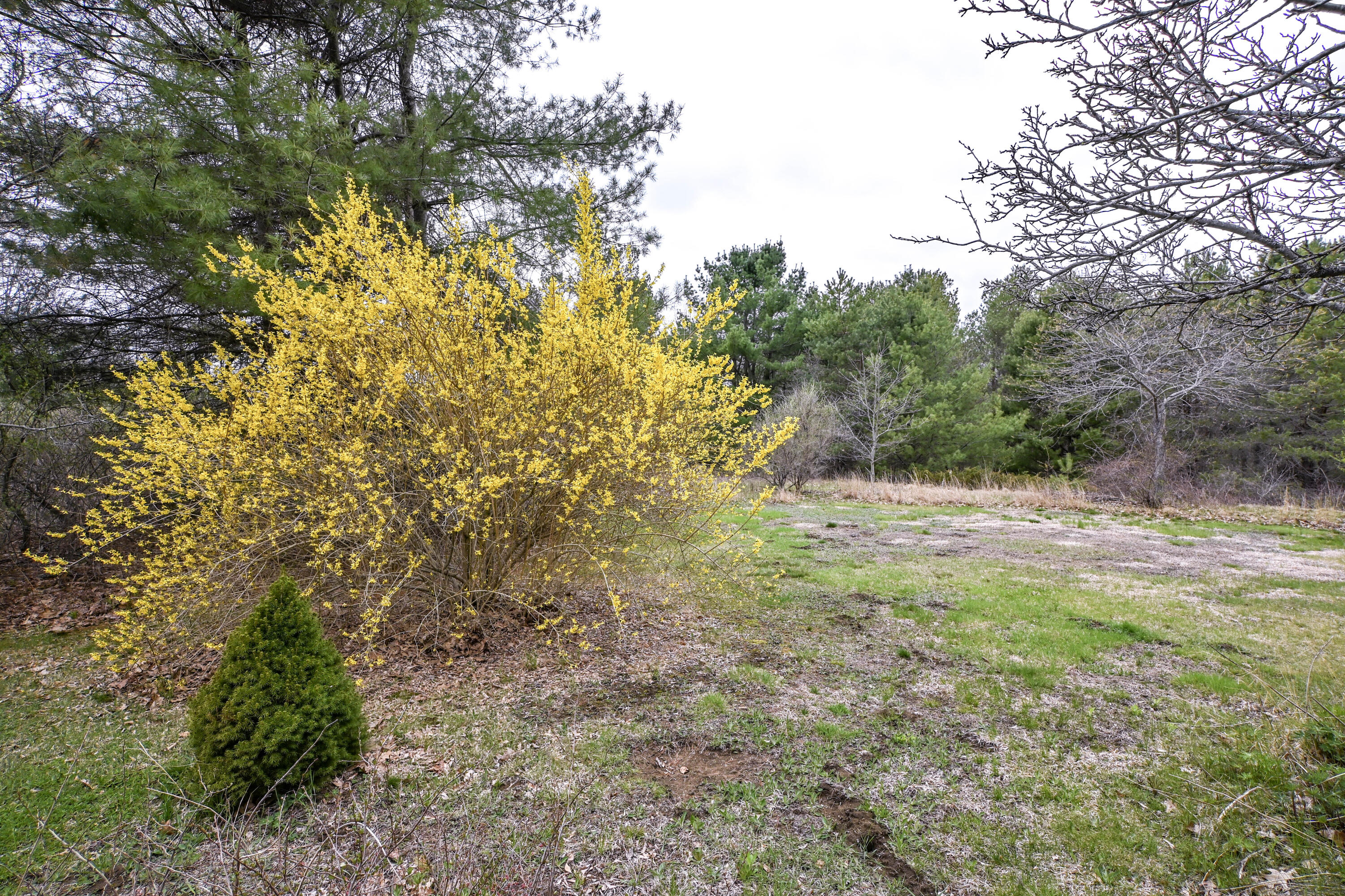 31 Vernon Road Cape Elizabeth ME 04107
