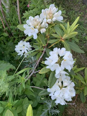 6 Pleasant Street Lubec ME 04652