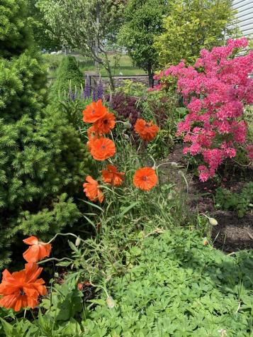 6 Pleasant Street Lubec ME 04652