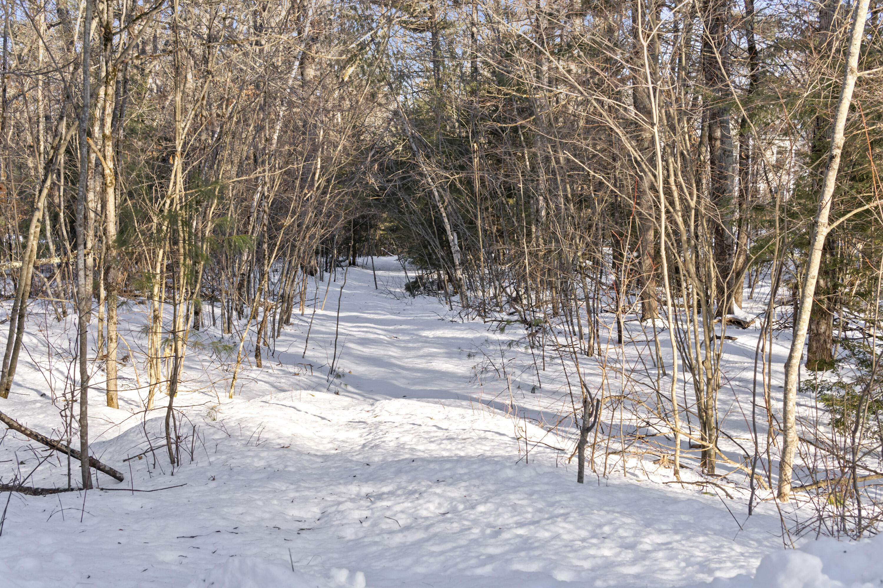 49 Black Swan Drive South Berwick ME 03908