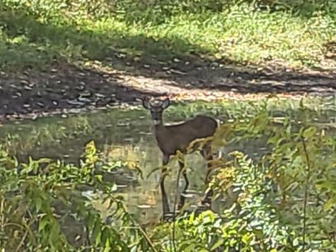 965 Industry Road Farmington ME 04938