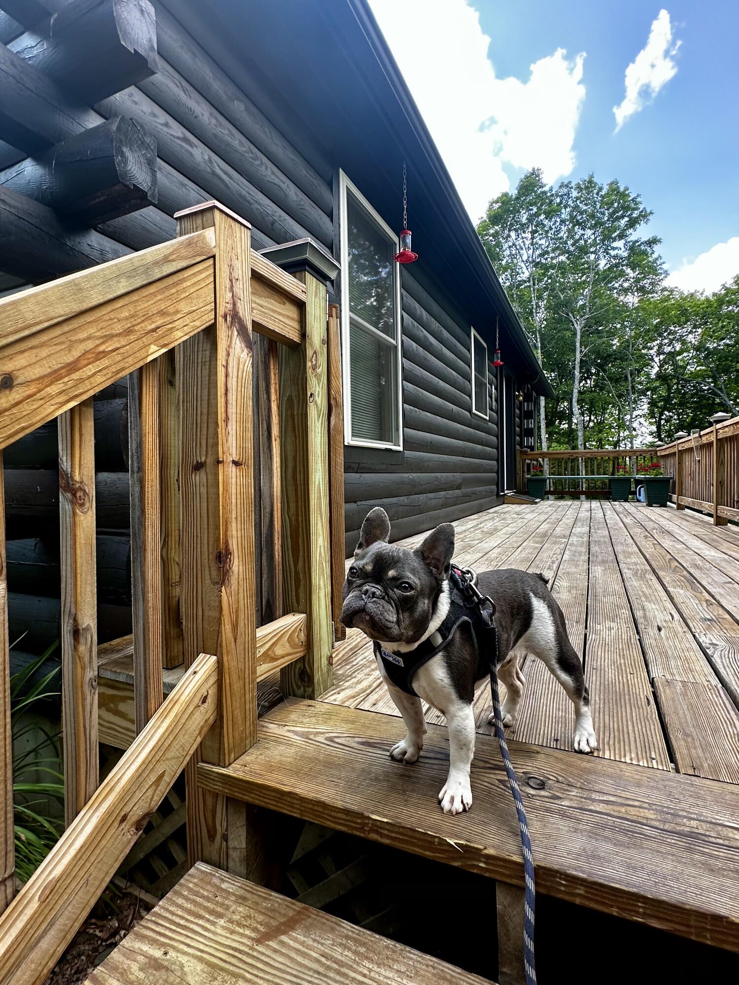 56 Pine Cone Lane Calais ME 04619