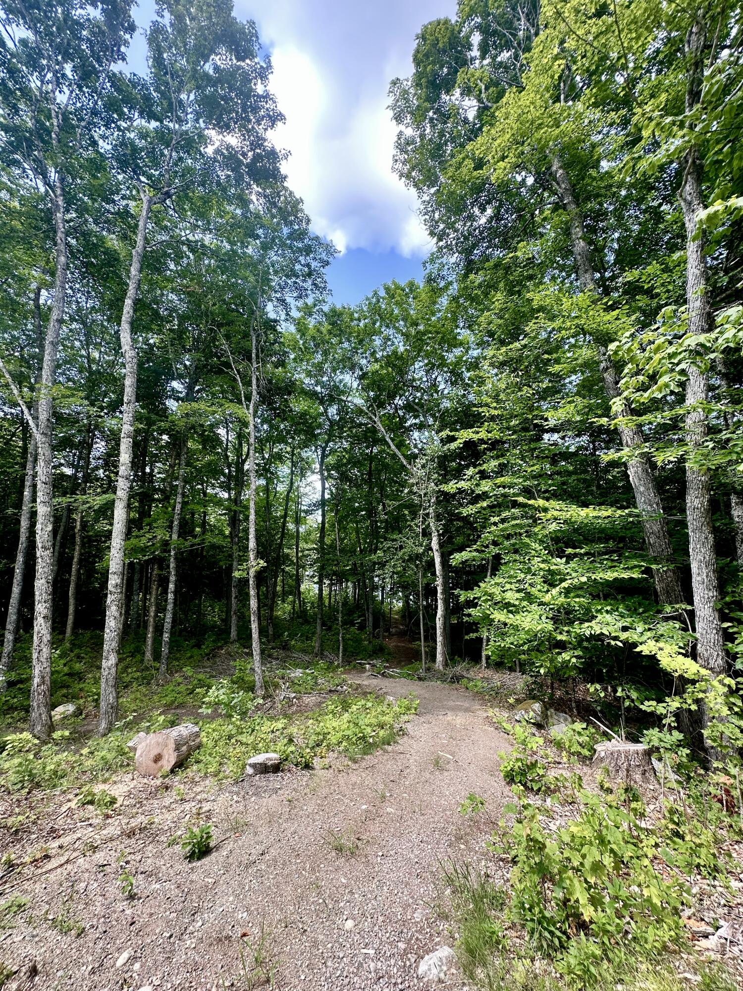 56 Pine Cone Lane Calais ME 04619