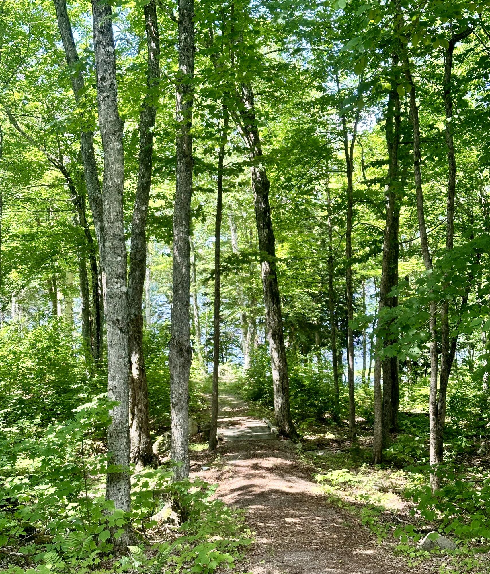 56 Pine Cone Lane Calais ME 04619