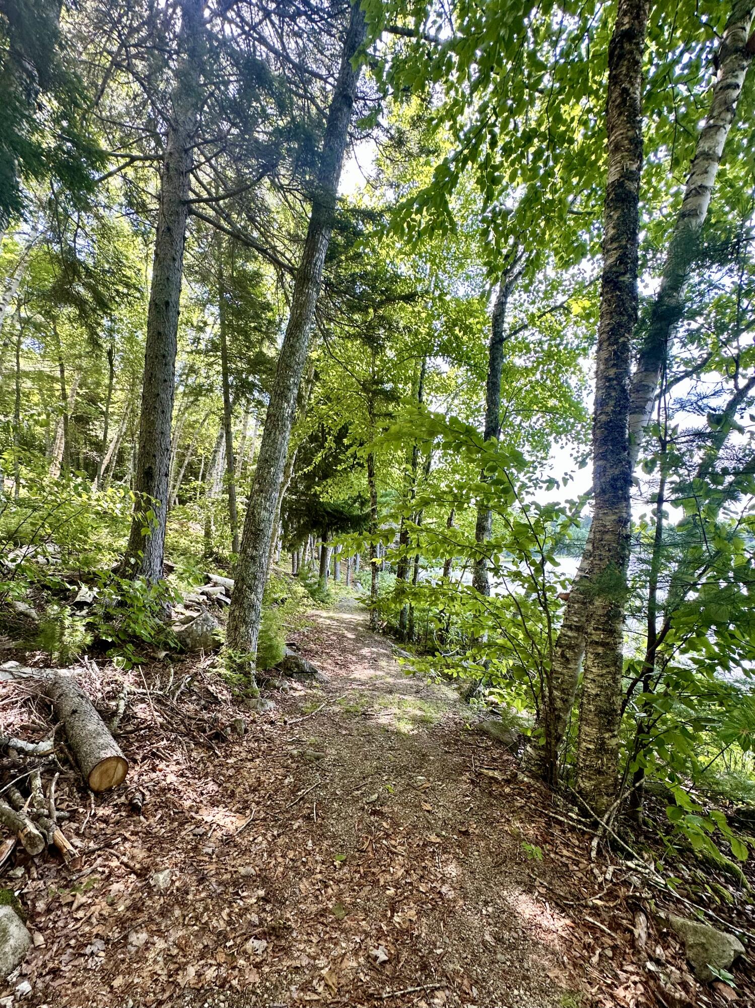 56 Pine Cone Lane Calais ME 04619