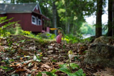 181 Black Island Way Ellsworth ME 04605