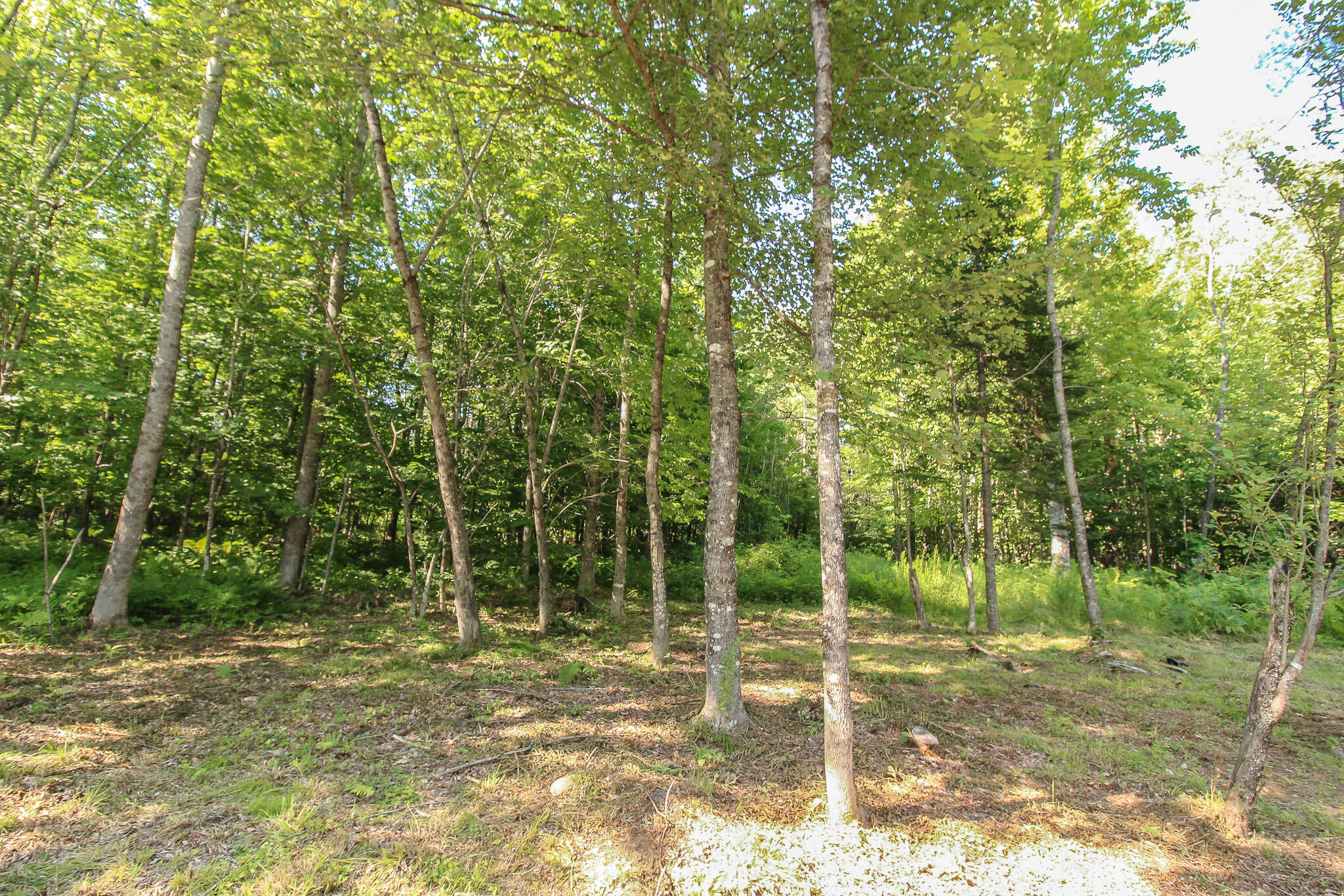 123 Bowerbank Road Sebec ME 04481