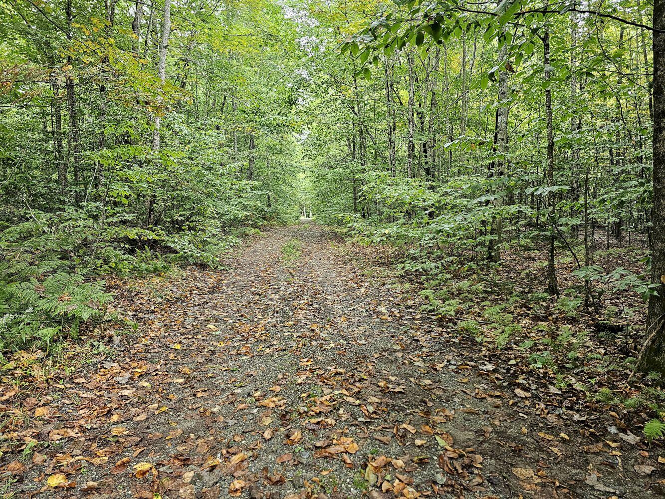 35 Samuels Drive Canaan ME 04924