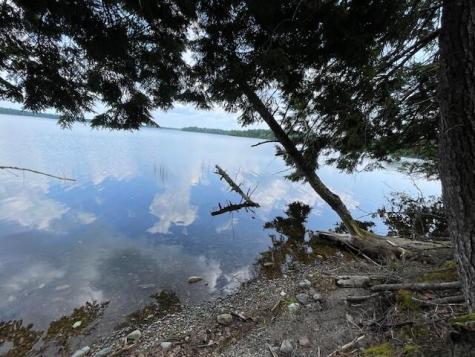 40 Blackcat Point Drive Princeton ME 04668