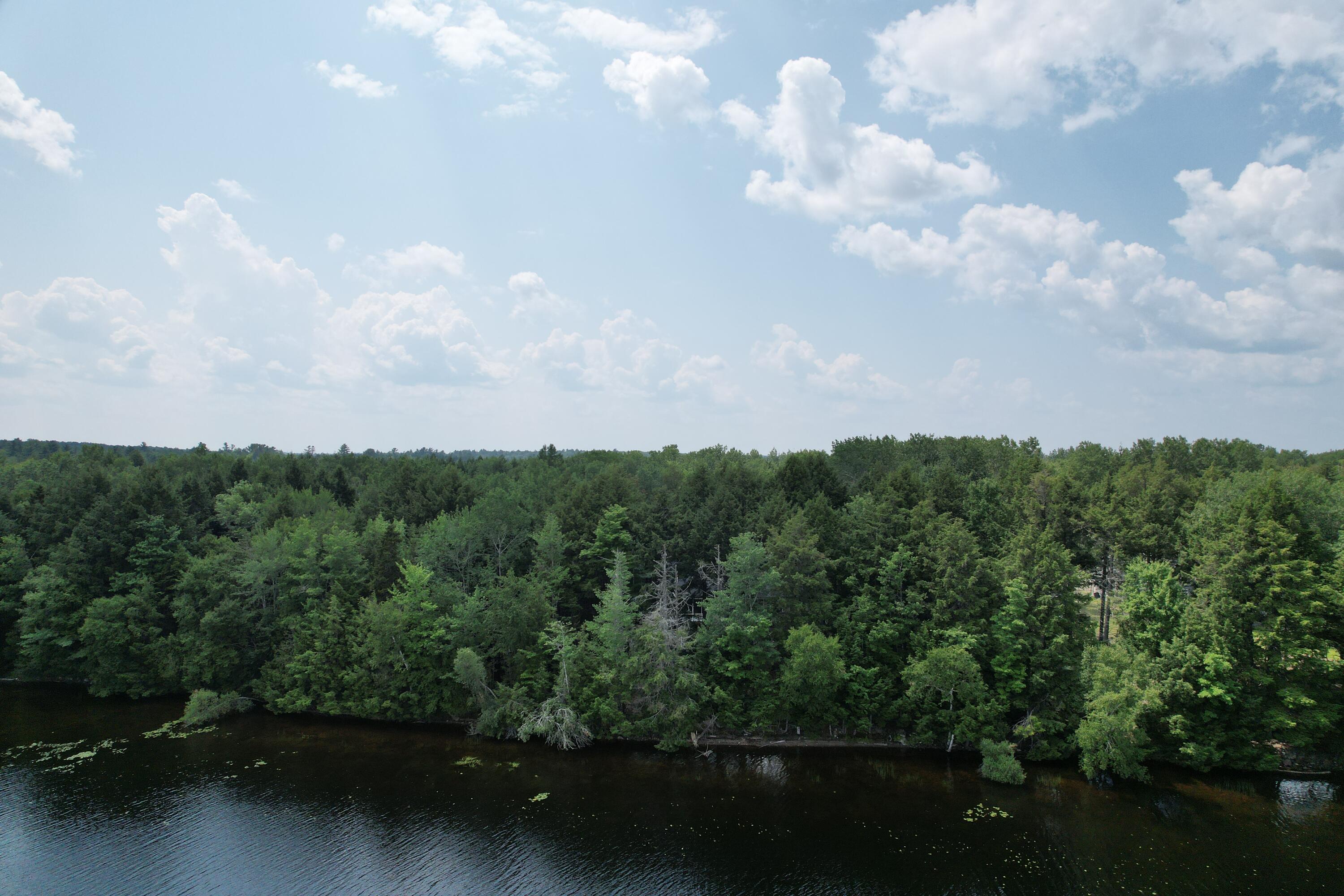 40 Blackcat Pt Drive Princeton ME 04668