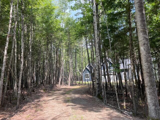 40 Blackcat Pt Drive Princeton ME 04668