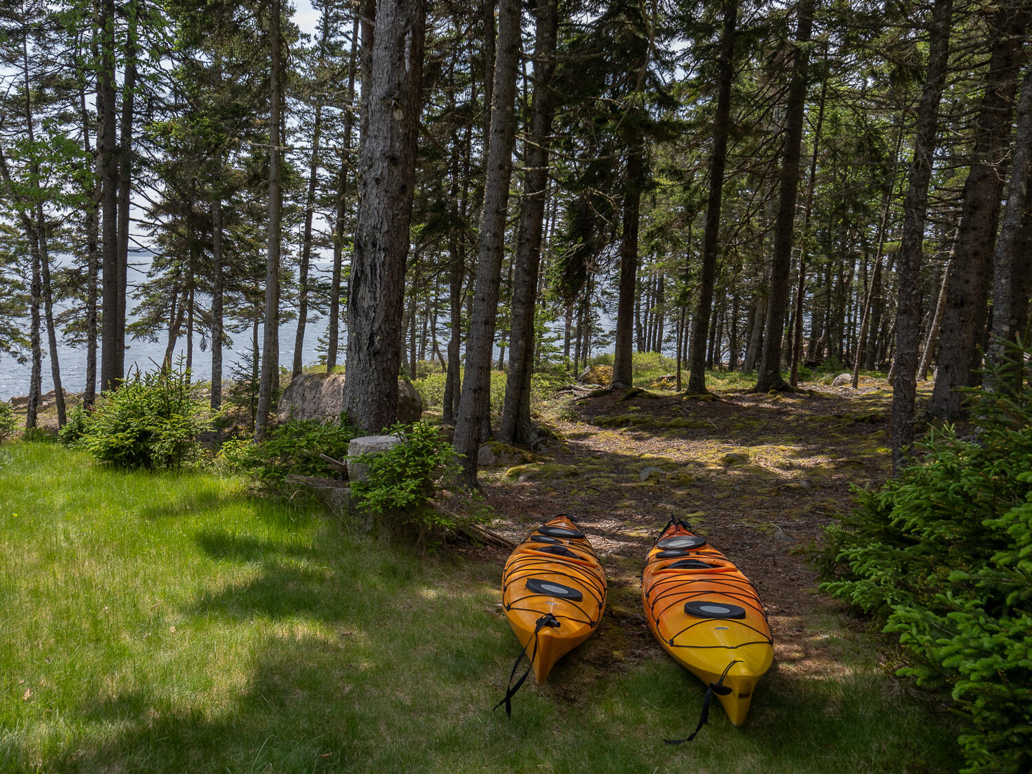 310 Red Point Road Swans Island ME 04685