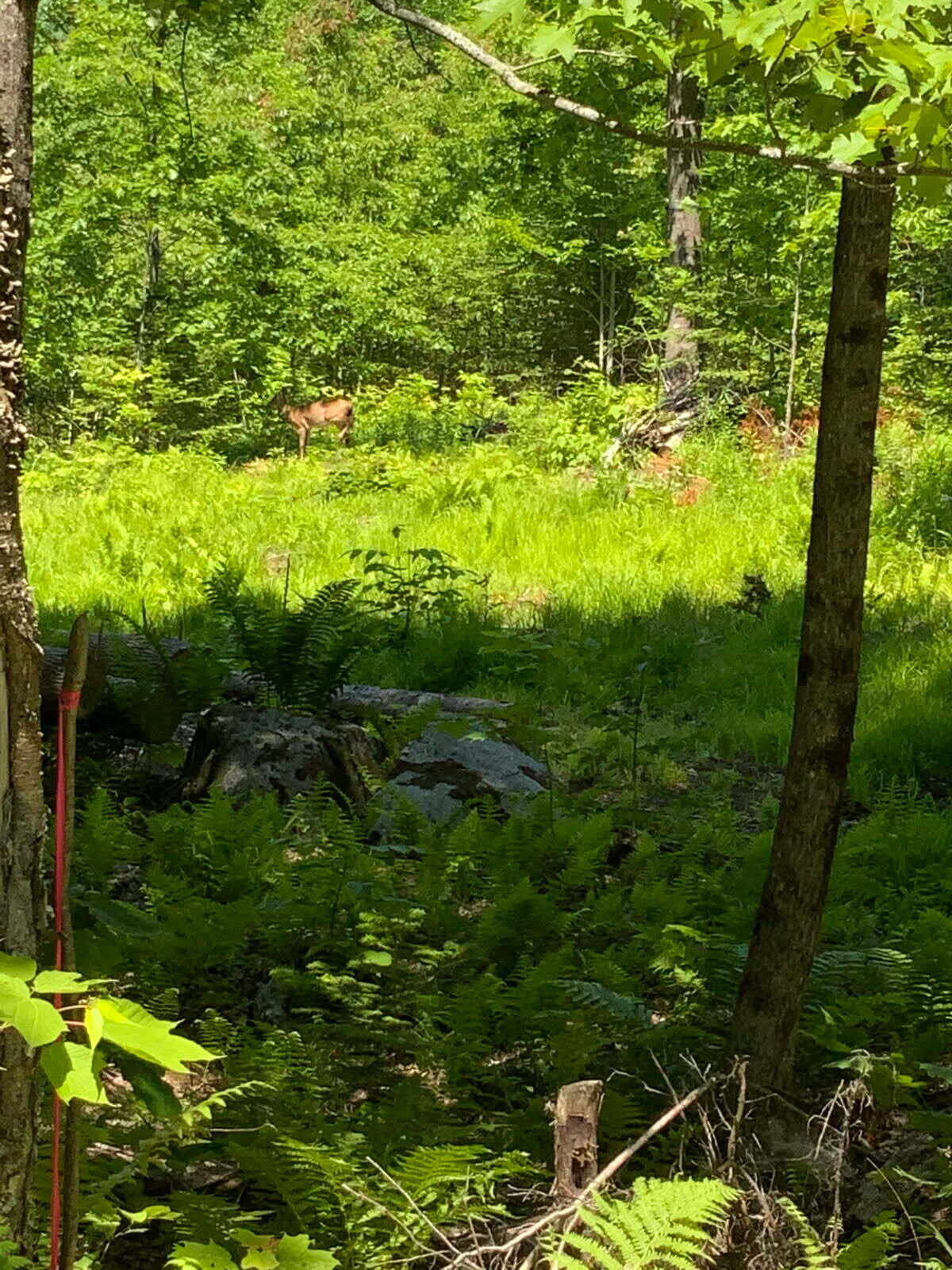 017-001 Blackberry Lane Rumford ME 04276