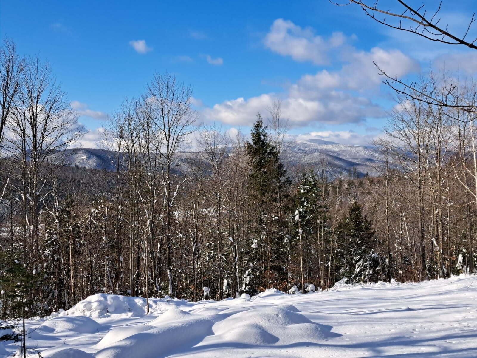 017-001 Blackberry Lane Rumford ME 04276