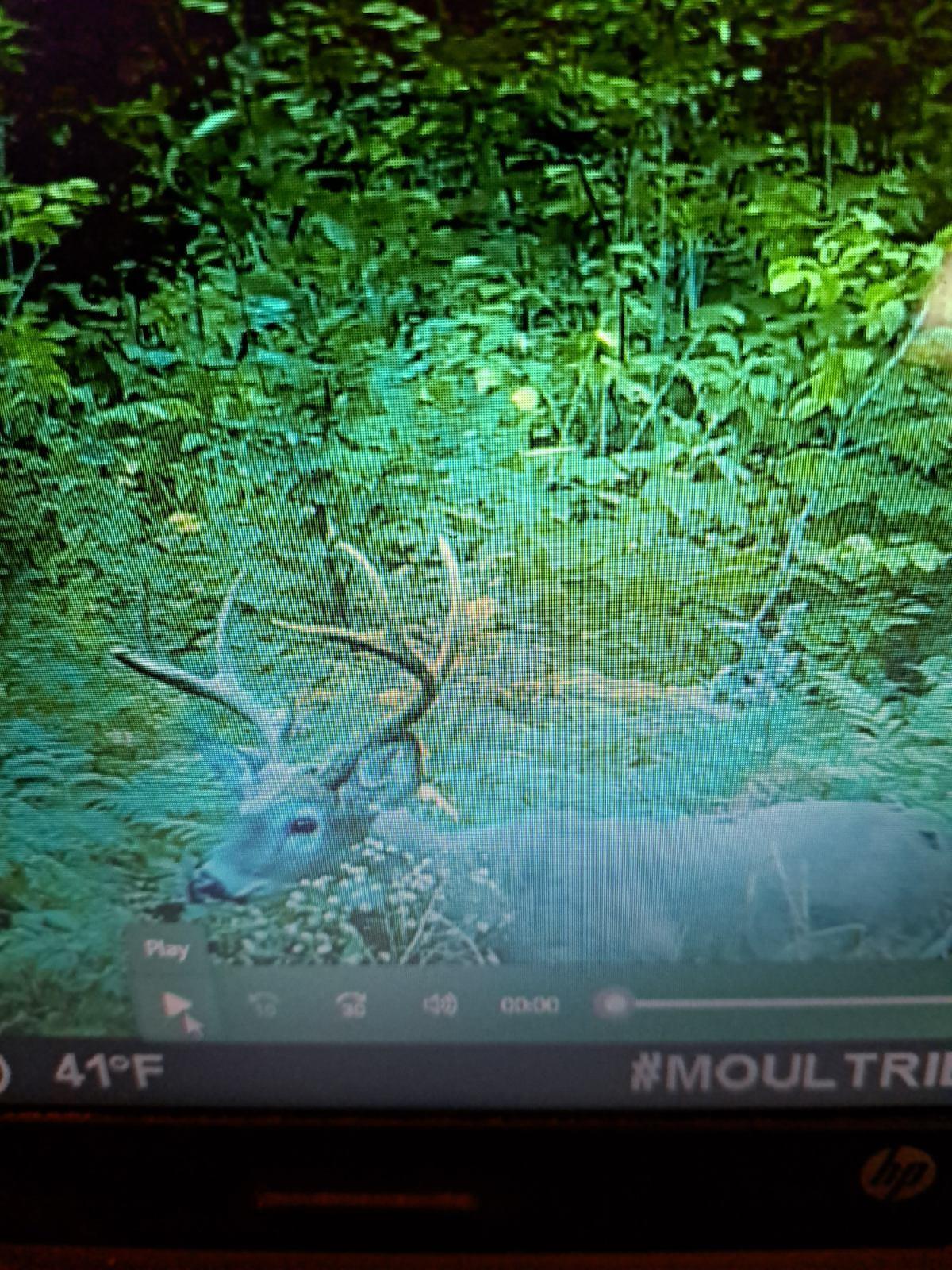 017-001 Blackberry Lane Rumford ME 04276