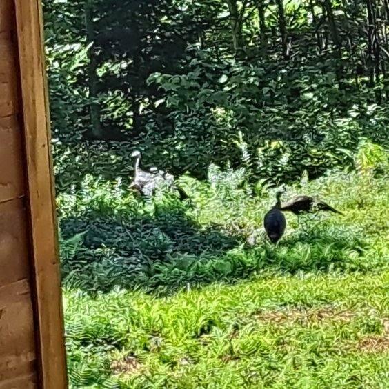 017-001 Blackberry Lane Rumford ME 04276