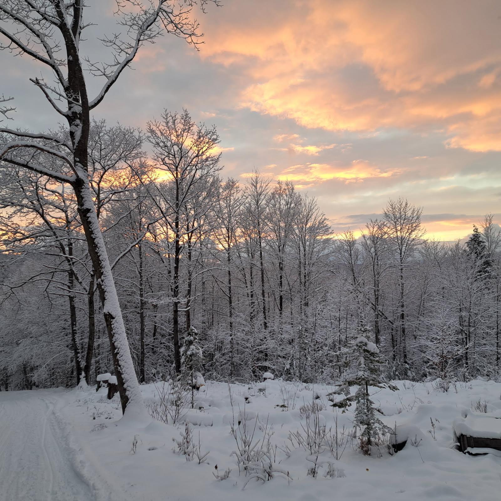 017-001 Blackberry Lane Rumford ME 04276