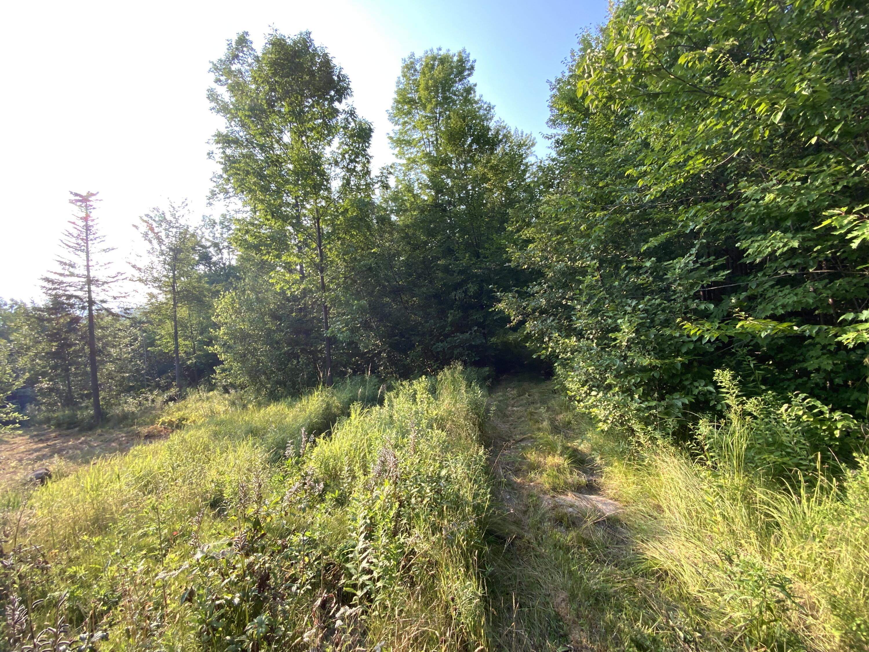 017-001 Blackberry Lane Rumford ME 04276