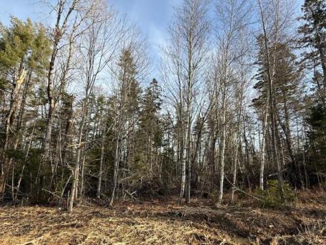 21 Talmadge Road Talmadge ME 04492