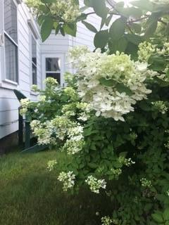 8 Pleasant Street Norway ME 04268
