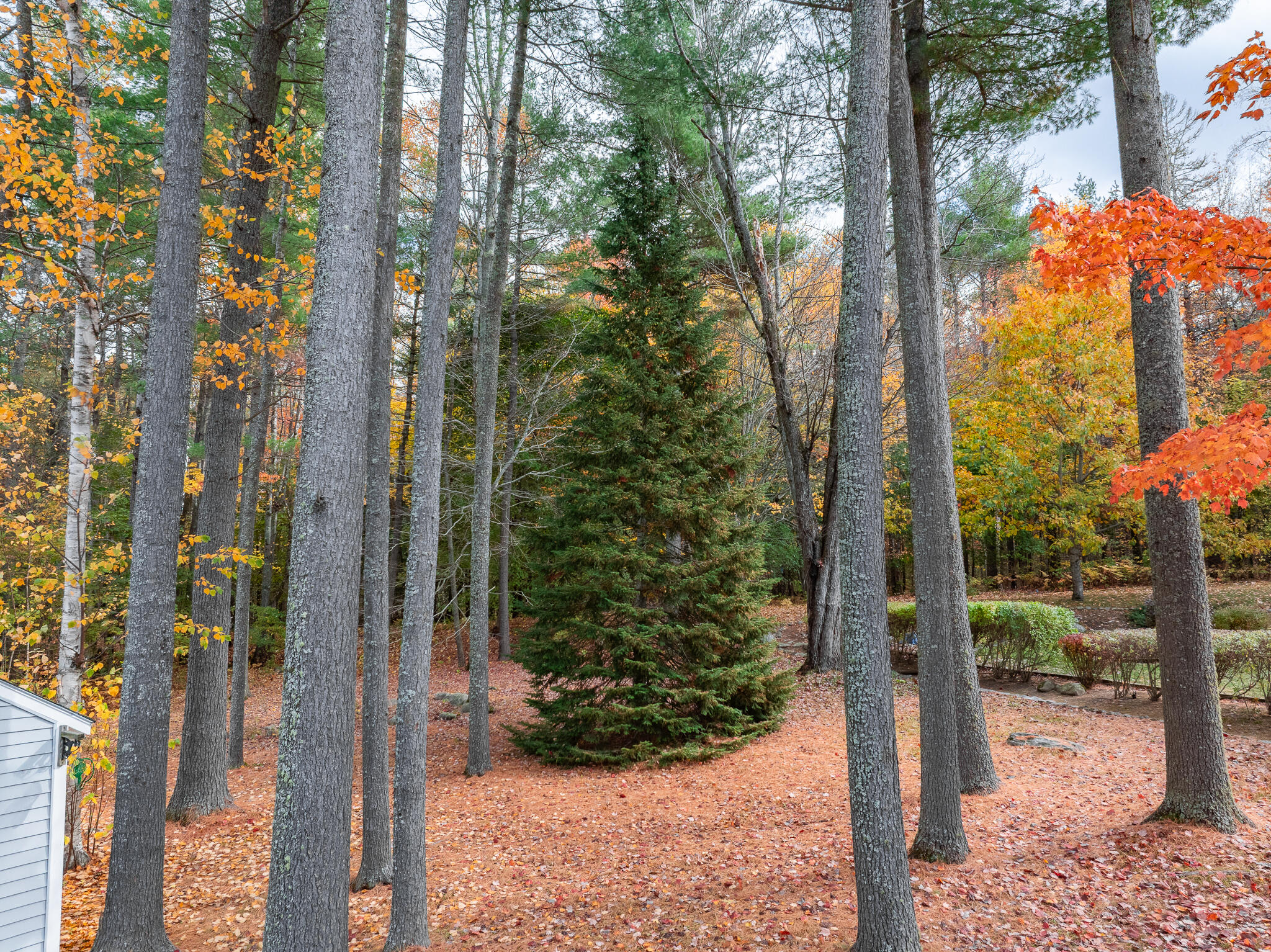 42 Yankee Avenue Bangor ME 04401