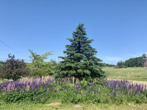 1 Daggett Road Perry ME 04667