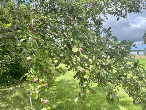 1 Daggett Road Perry ME 04667