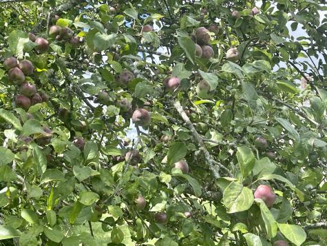 1 Daggett Road Perry ME 04667