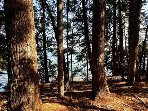 1390 River Road Calais ME 04619