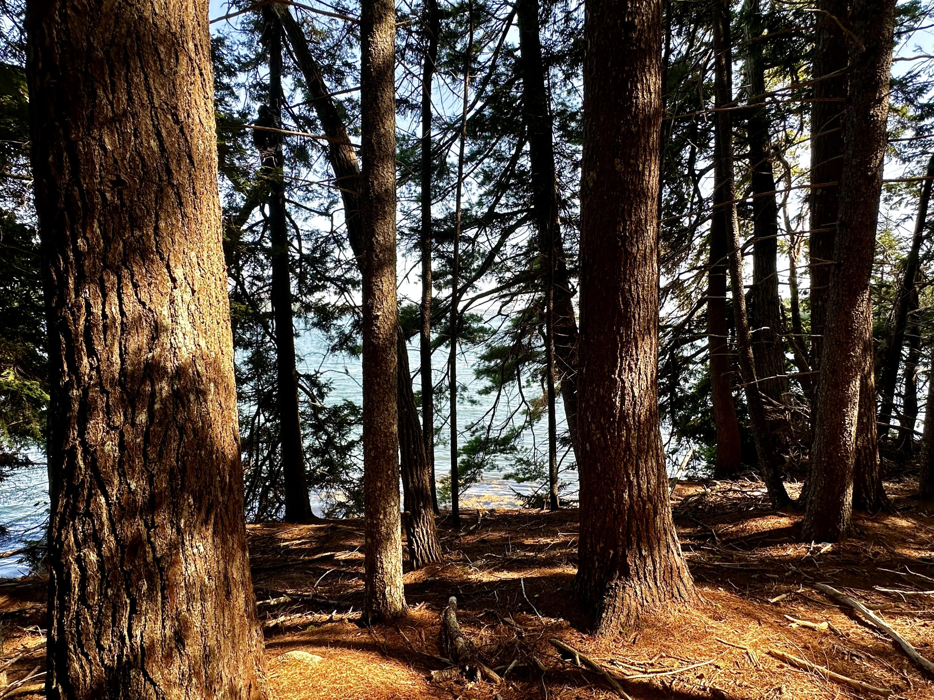 1390 River Road Calais ME 04619