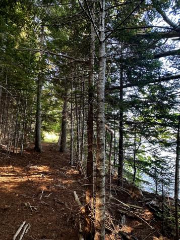 1390 River Road Calais ME 04619