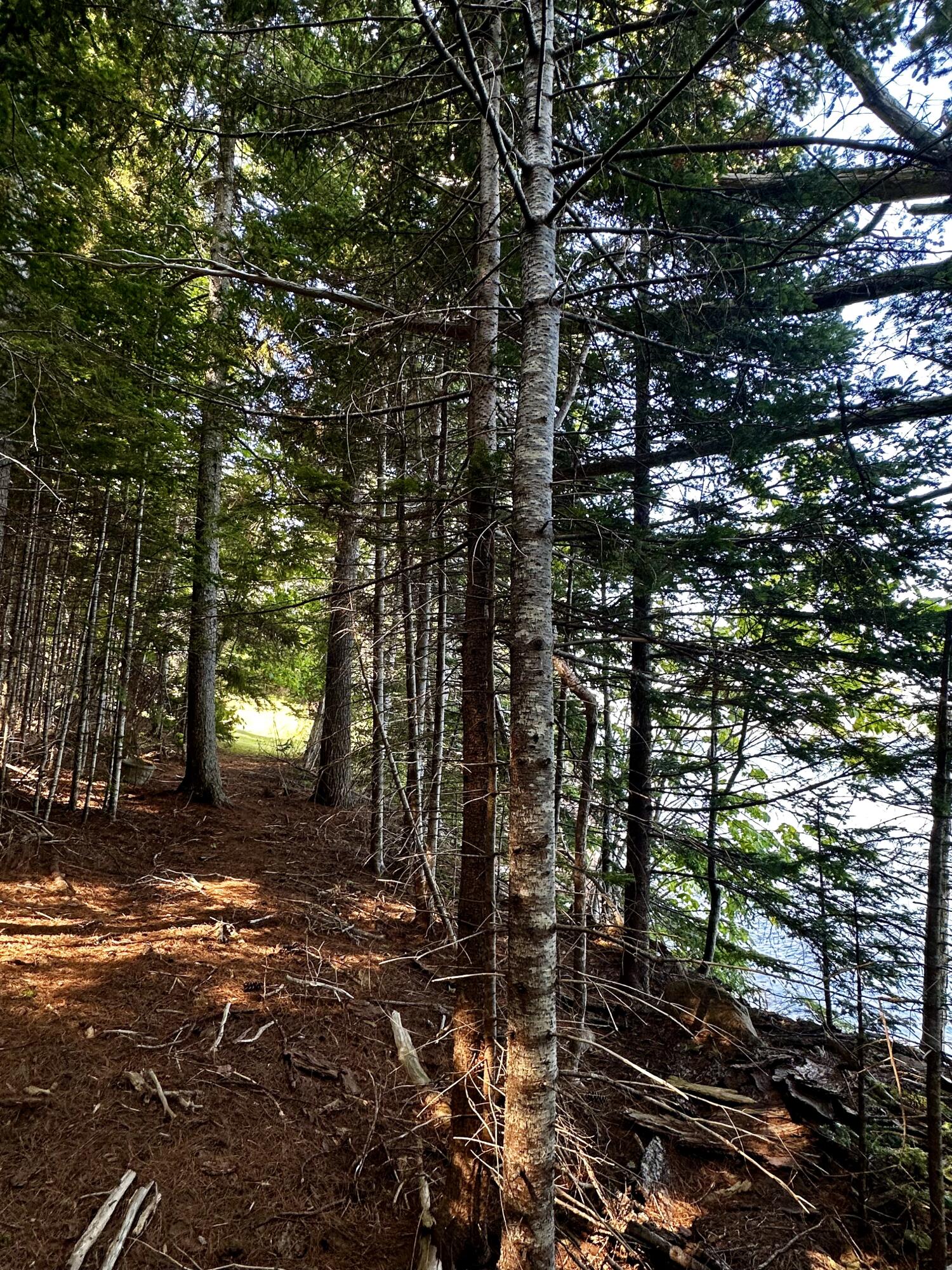 1390 River Road Calais ME 04619