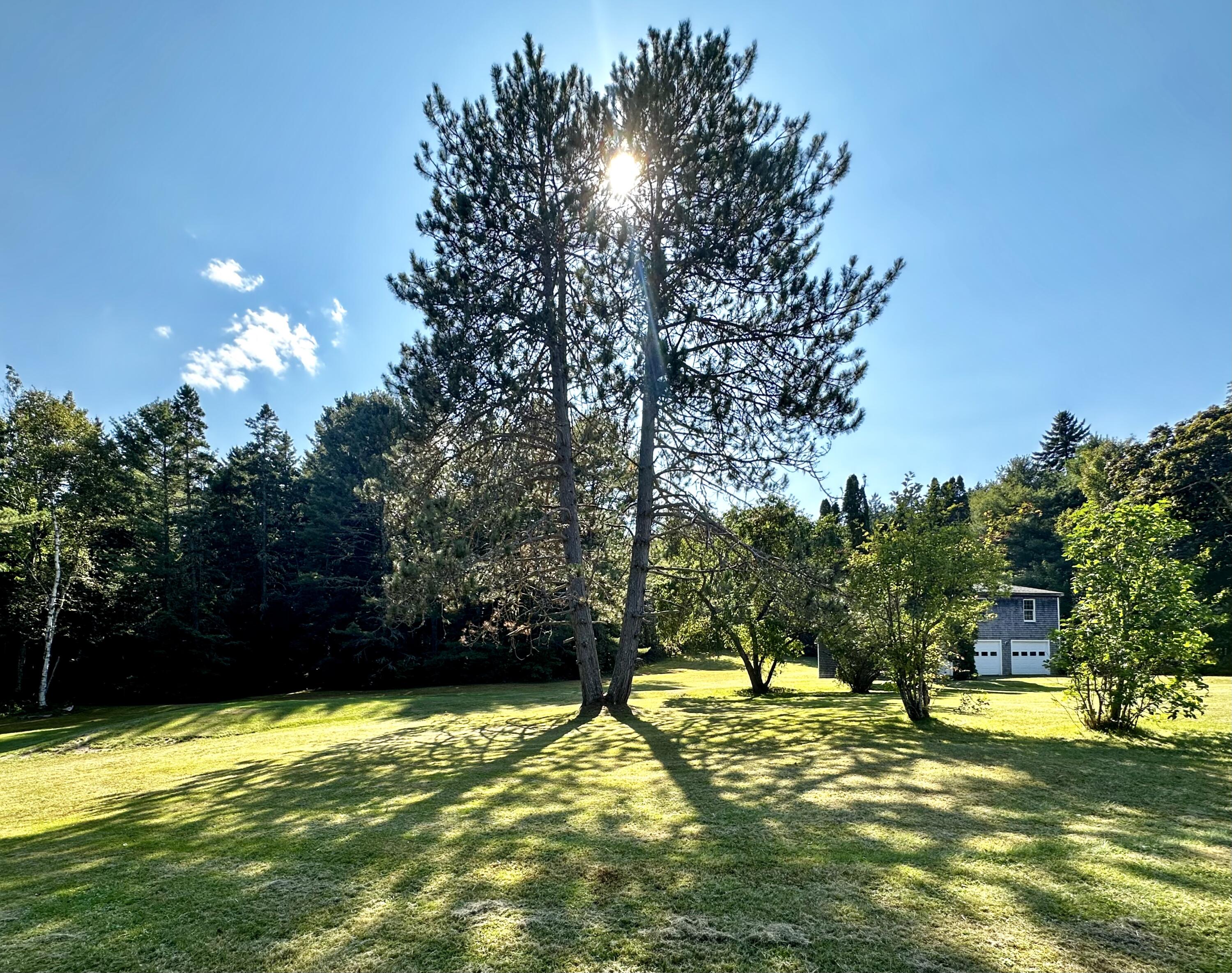 1390 River Road Calais ME 04619