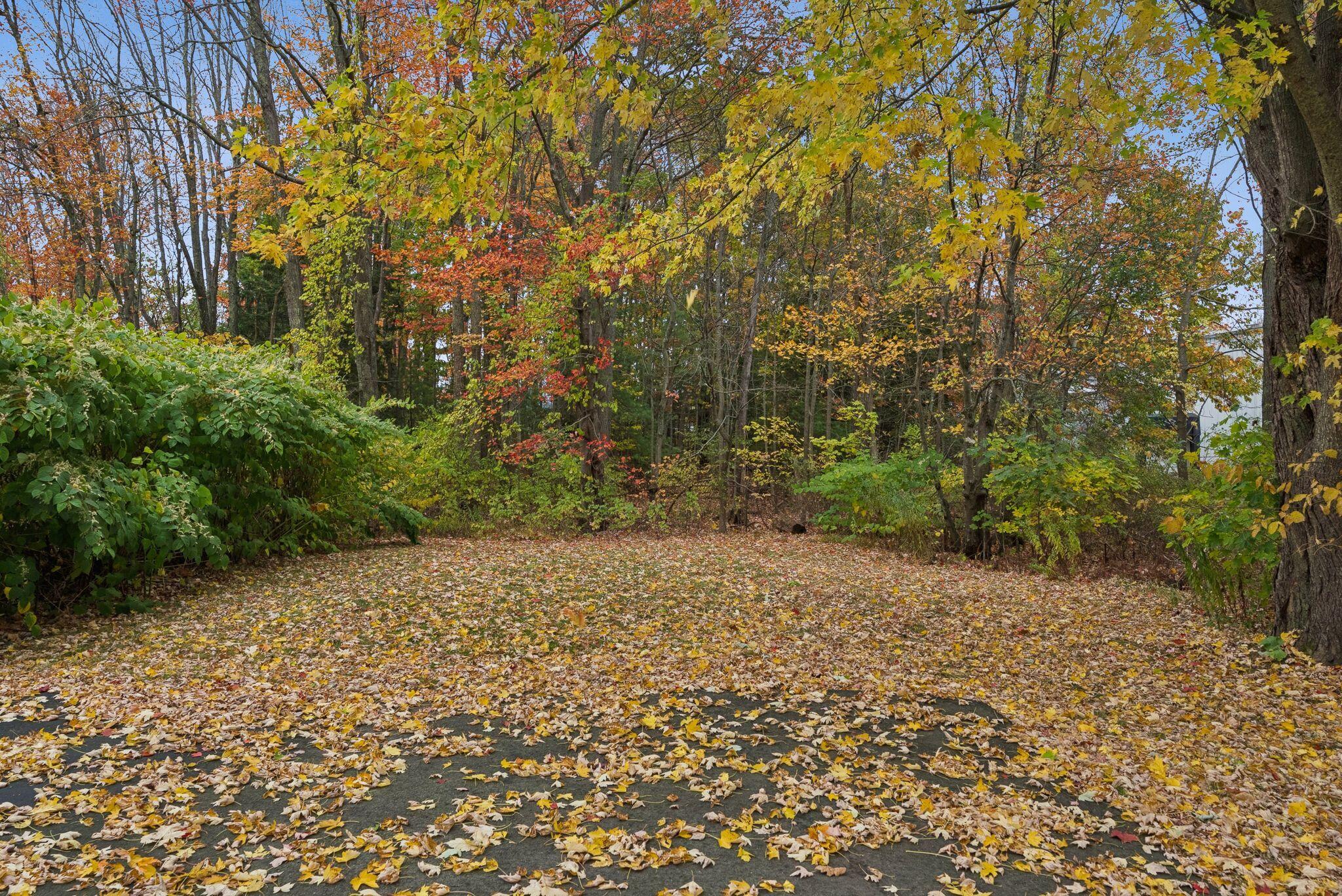 419 Riverside Street Portland ME 04103