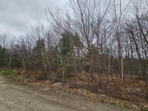 39 Salinitas Drive Norway ME 04268