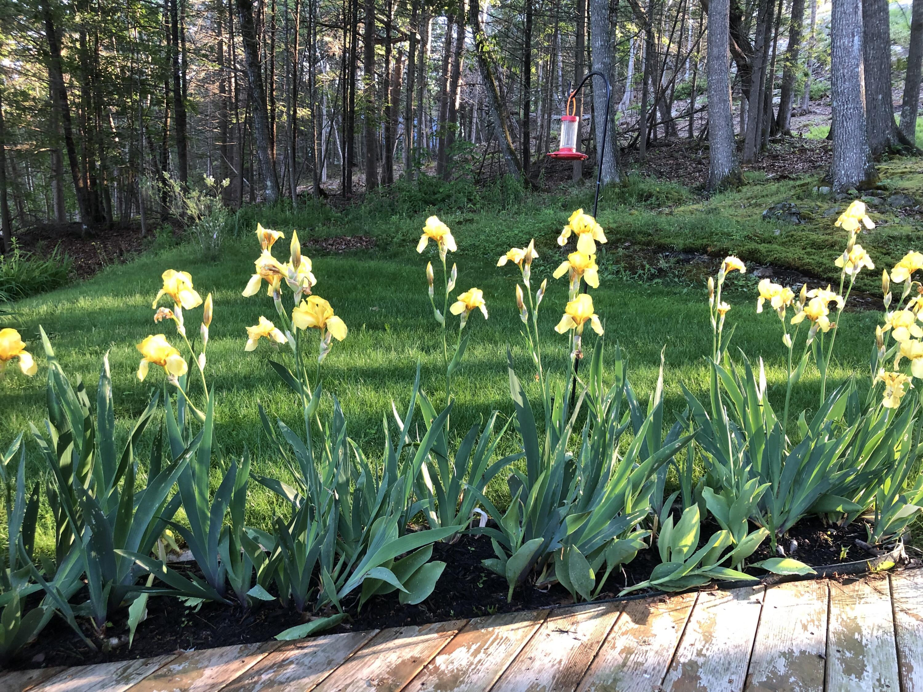 105 Cushman Point Road Wiscasset ME 04578